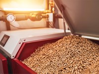 5 razones para instalar una estufa de pellets este otoño