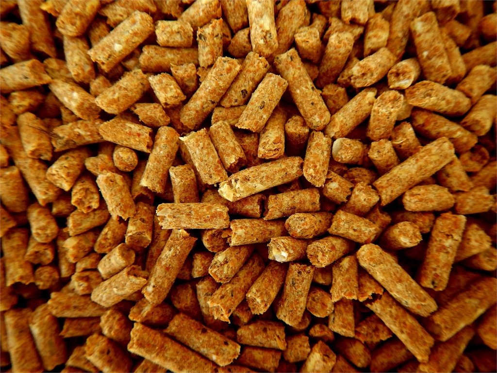 ¿Que aportan las estufas de pellets al hogar?