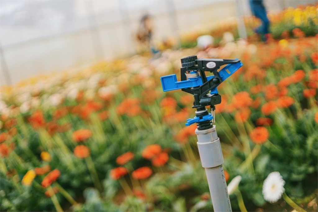 Ventajas de la instalación de riego automático para jardines