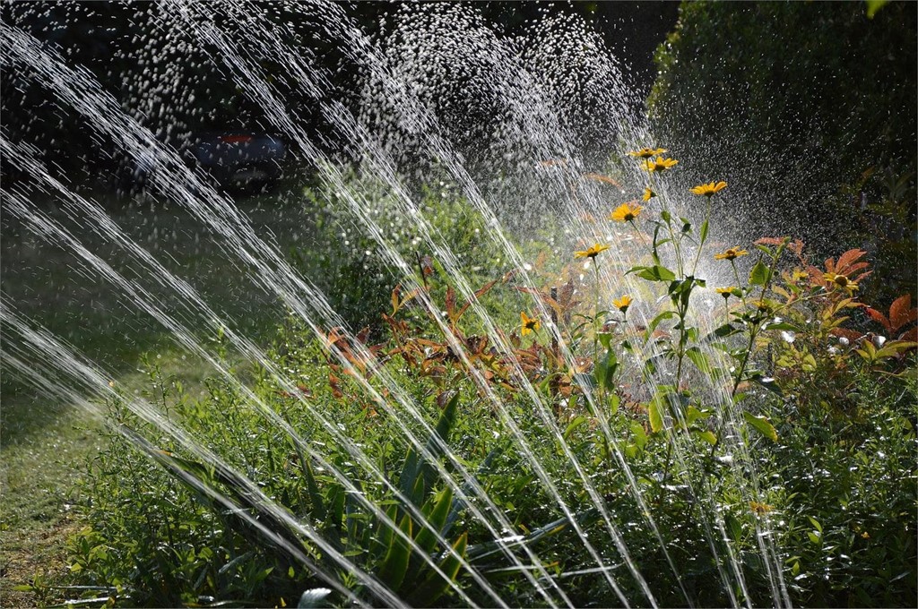 Ventajas del riego automático en el jardín