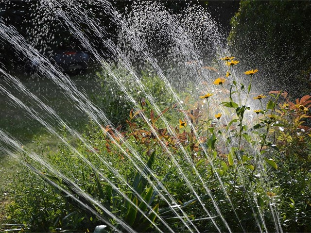 Ventajas del riego automático en el jardín